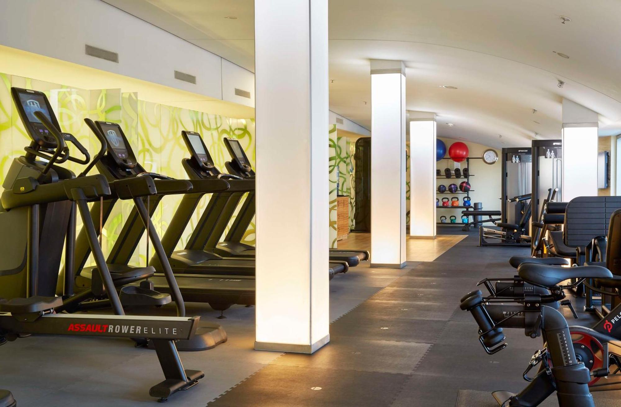 Hilton Frankfurt Airport Франкфурт-на-Майне